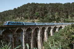 Ella_Travel-Vibe-Sri-Lanka